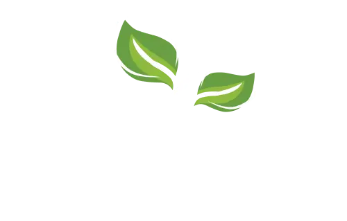 Well Life Store Logo White Azoospermia Blog
